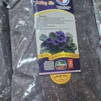 خاک و کود|گل و گیاه طبیعی|رشت, فلسطین|دیوار