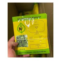 فروش بذر خیار گلخانه ای و...