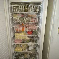 یخچال دوقلو|یخچال و فریزر|پردیس, فاز ۱|دیوار