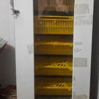 دستگاه جوجه کشی