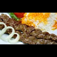 مناسب افتتاحیه ۳۰ ٪تخفیف کباب بناب