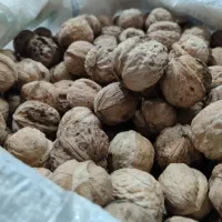 انواع خشکبار و رب دبه ایی