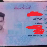 کیف مدارک گمشده به فامیلی سیدین