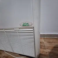 فن کوئل