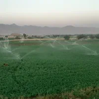 فروش دو هکتار زمین کشاورزی اسداباد خاکریز