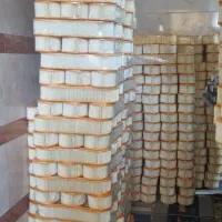 فروش فیلتر هوای خودرو از تولید کننده