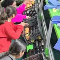 کار درترکیه برای بانوان وزوج بدون پرداخت کمیسیون