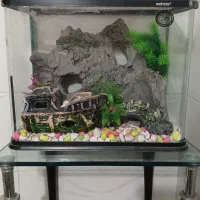 آکواریوم با تمام وسایل