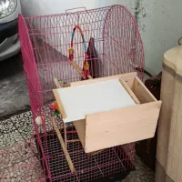 قفس  پرنده.برای فروش