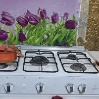 وسایل آشپزخونه|اجاق گاز و لوازم برقی پخت‌وپز|زرند, |دیوار