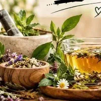 آموزش طب سنتی برای خانمهای جویای کار وآموزش