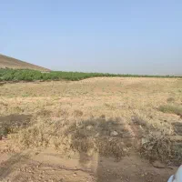 زمین کشاورزی