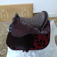 زین اسب|اسب و تجهیزات اسب‌سواری|کوهدشت, |دیوار