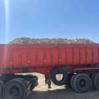 چابهار یک کود مرغی