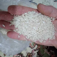 برنج عنبربو