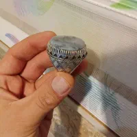 شجردست سازقاعنات