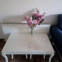 فروش مبل سالم بدون پارگی|مبلمان خانگی و میز عسلی|دماوند, گیلاوند|دیوار