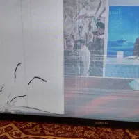 تلوزیون