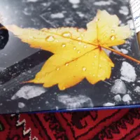 دو عدد ترازوی خانگی