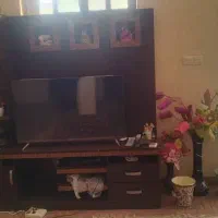 زیر تلویزیونی