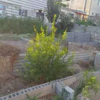 باغ زمین مسکونی