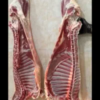 به مناسبت شب یلدا