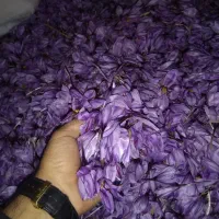 سرمایه-گذاری-و-مشارکت-در-احداث-گلخانه