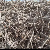 فروش کندپسته کیلوی ۷تومان