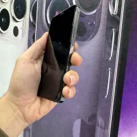 Iphone 12pro|موبایل|قم, چهل درخت|دیوار