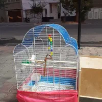 قفس پرنده درحد