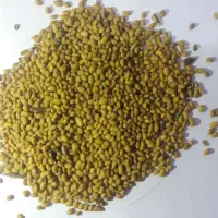 تخم‌(اورنچه) ابی