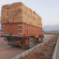 راننده پایه یک هستم جویای کار