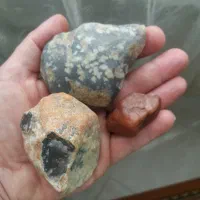 راف کهنه یمنی و شجر