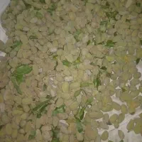 بادام نیمه سنگی درشت و یکدست