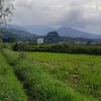 ملک با کاربری جهانگردی و گردشگری|فروش زمین و ملک کلنگی|مشهد, نوفل لوشاتو|دیوار