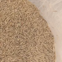 ۴ تن جو محلی تمیز