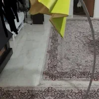 آباژور سبز سالم