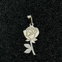 پلاک نقره|جواهرات|شیراز, شاهچراغ|دیوار