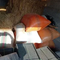 دام|لوازم جانبی حیوانات|رشت, معلولین|دیوار