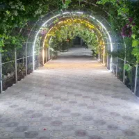 اجاره روزانه/هفتگی/ماهانه ویلا ۱۵۰ متری|اجارهٔ کوتاه‌مدت ویلا و باغ|جم, |دیوار