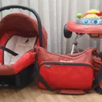 روروئک مارک پیرگاردین