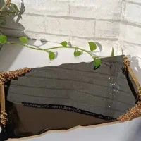 تولید سینی رزین|ظروف سرو و پذیرایی|شهرضا, |دیوار