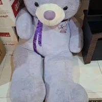 خرس بزرگ 2 متری