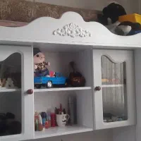 ویترین تک دیواری