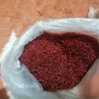 زعفرون تربت