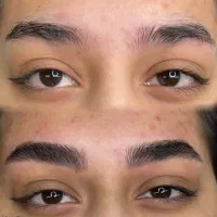 آرایش دائم میکرو شیدلب ریمو ابرو (تتو بدن )|خدمات زیبایی و سلامت|تهران, حر|دیوار