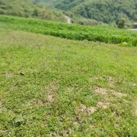 زمین-کشاورزی-برجاده-گالیکش-فارسیان