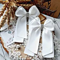 انواع پاپیون و گلسرهای ترند و زیبا