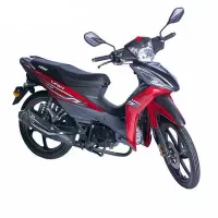 موتور بیکلاج لیفان