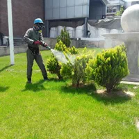 باغبانی سمپاشی کوددهی محلولپاشی نهال رودهن پردیس|خدمات باغبانی و درختکاری|رودهن, |دیوار
